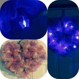 Wreaths And Arrangements 2 small