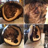 Walnut Natural Edge Bowl 2 small