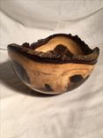 Walnut Natural Edge Bowl 6 small