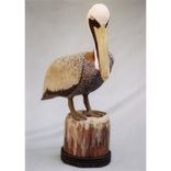 Brown Pelican Carving 1 small
