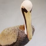 Brown Pelican Carving 2 small