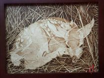 Pyrography Fine Art Framed Piece. Deer In The Grass, Hiding. 1 small