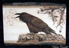 Pyrography Fine Art - Raven 1 small