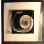 Xrays Of Insects And Other Animals 5 small