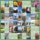 Custom Made Photo Quilt Using Mixed Horiz & Vert Photos 2 small