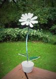 Gerbera Daisy In Snowy White  Stained Glass 2 small