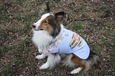 Adorable Upcycled Bird And Buttons Dog Jean Jacket - Made To Order 3 small