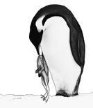 Frog And Penguin Backward Kiss 2 small
