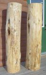 Custom Male & Female Tikis 3 small