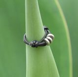 Ring / Adjustable Ring: Black Leather With Three Silver Beads 2 small