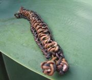 Bracelet / Men's Bracelet:  Braided Brown Leather Cord With Copper Beads 6 small