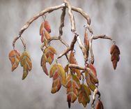Mosaic Tile Hanging Mobile 1 small