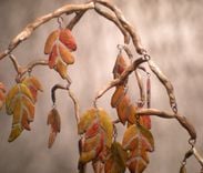 Mosaic Tile Hanging Mobile 4 small
