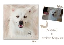 Custom Pet Portrait On Canvas With Frame 3 small