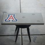 Concrete And Wood Benches, University Of Arizona Logo 1 small