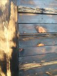 Rustic Wood Flags 3 small
