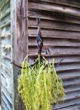 Wrought Iron Flower And Herb Dryer 1 small