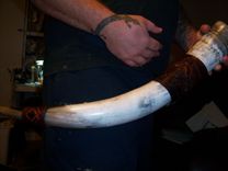 Viking Drinking Horns Or Celtic Drinking Horns 15 small