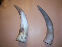 Viking Drinking Horns Or Celtic Drinking Horns 22 small