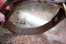 Dog Collars 4 small