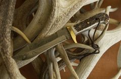 Stag Handled With Damascus Old World Damascus In This Modern Work Knife & Custom Leather Sheath 2 small