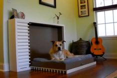 Pet Murphy Beds 2 small