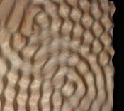 Wave 3d Wall Sculpture #1 3 small