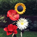 Giant Flowers Of All Kinds 1 small