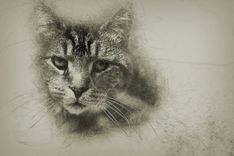 Custom Portrait Pencil Sketch From Photo (Digital Delivery) 3 small