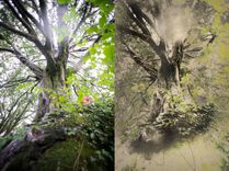 Custom Portrait Pencil Sketch From Photo (Digital Delivery) 5 small