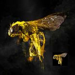 Custom Strong Stroke Brush Painted Poster From Photo 4 small