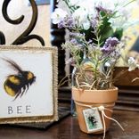 Hone Bee Gift Decor Bundle Set Of 4 2 small