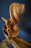 Rustic Twisted Juniper Sculpture On A Redwood Burl Base 4 small