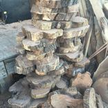 Eastern Red Cedar Coins 3 small