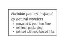 Sea Turtle (Gold/Blue) Set Of 5 2 small