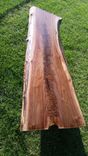 Walnut Live Edge Slab Coffee Table 2 small