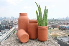 Mason Jars | Terracotta 1 small
