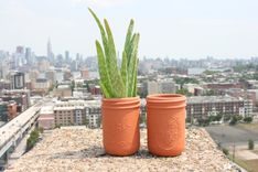 Mason Jars | Terracotta 2 small