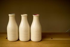 The Brooklyn Dairy Vessels | Vase 4 small