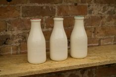 The Brooklyn Dairy Vessels | Vase 1 small