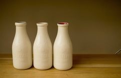 The Brooklyn Dairy Vessels | Vase 6 small