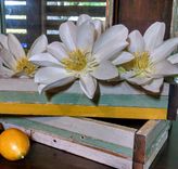 Reclaimed Wood Boxes 1 small