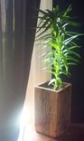 Reclaimed Wood Vase 2 small