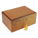 Milano 75-100 Cigar Humidor 3 small