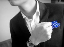 Pocket Square Hankerchief 2 small