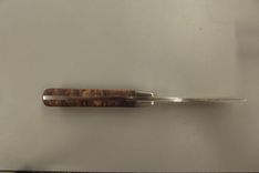 Stainless Steel Hunting Knife Fit With Hondurous Rose Wood Burl Handles 1 small