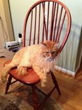 Solid Cherry Bow Back Windsor Chairs 1 small
