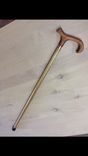 Walking Cane 2 small