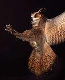 Owl Wood Sculpture By Jason Tennant 4 small