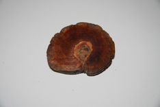 Wooden Brooch Large Natural Unique 1 small